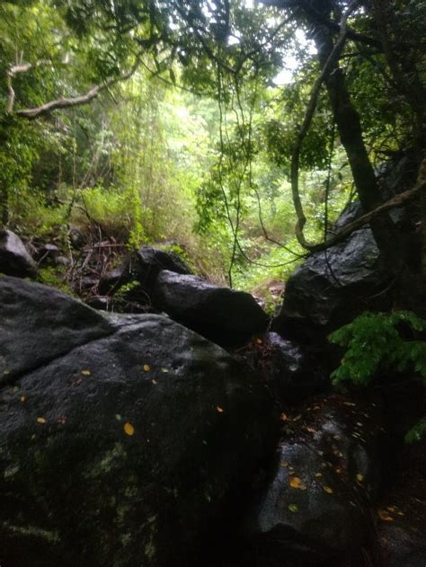 places to visit in arayat|MOUNT ARAYAT (2024) All You Need to Know .